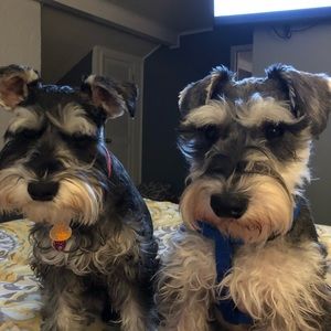 Meet your Posher, April